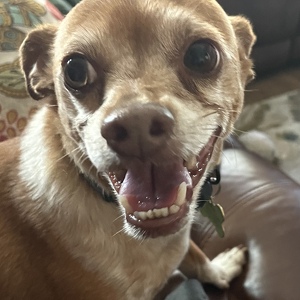 Fundraising Page: Richele Funkhouser